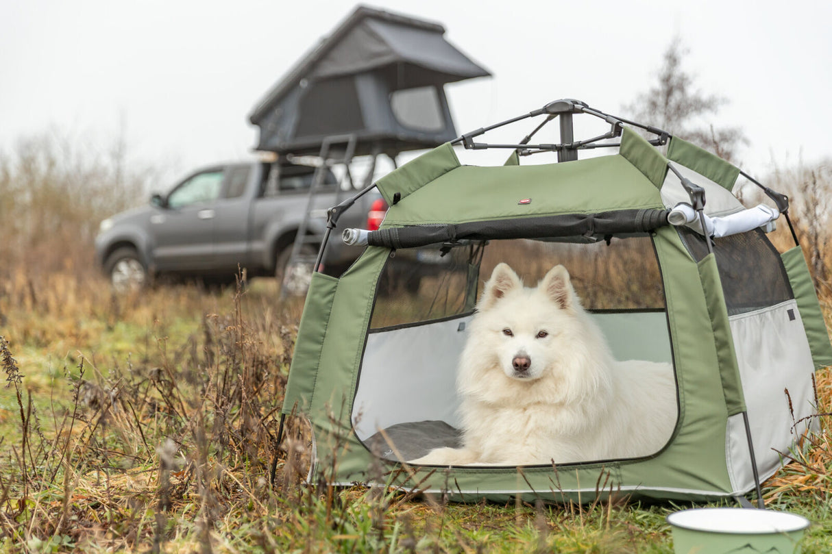 TRIXIE Pop-Up Hundezelt – Dein mobiler Rückzugsort für Outdoor & Zuhause