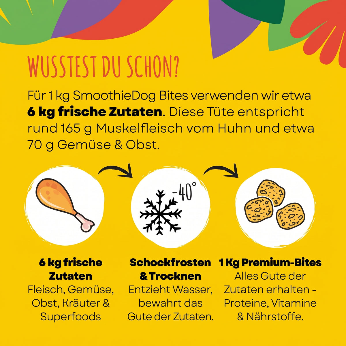 SmoothieDog Bites Klassik Paket, Hundesnacks 3 × 40 g