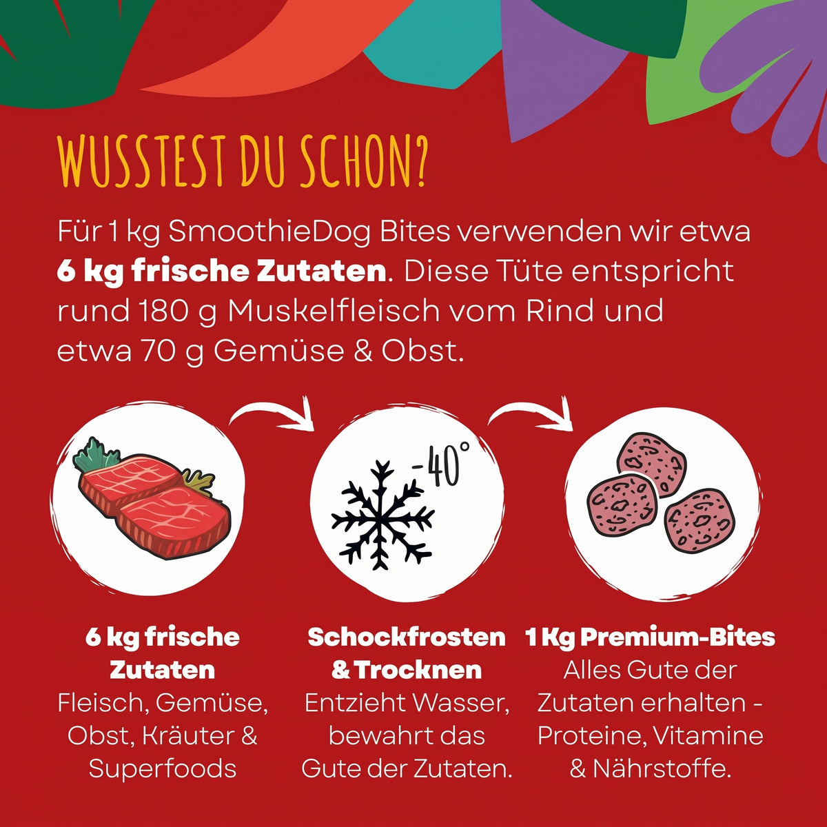 SmoothieDog Bites Rind, gefriergetrocknete Hundesnacks 40 g