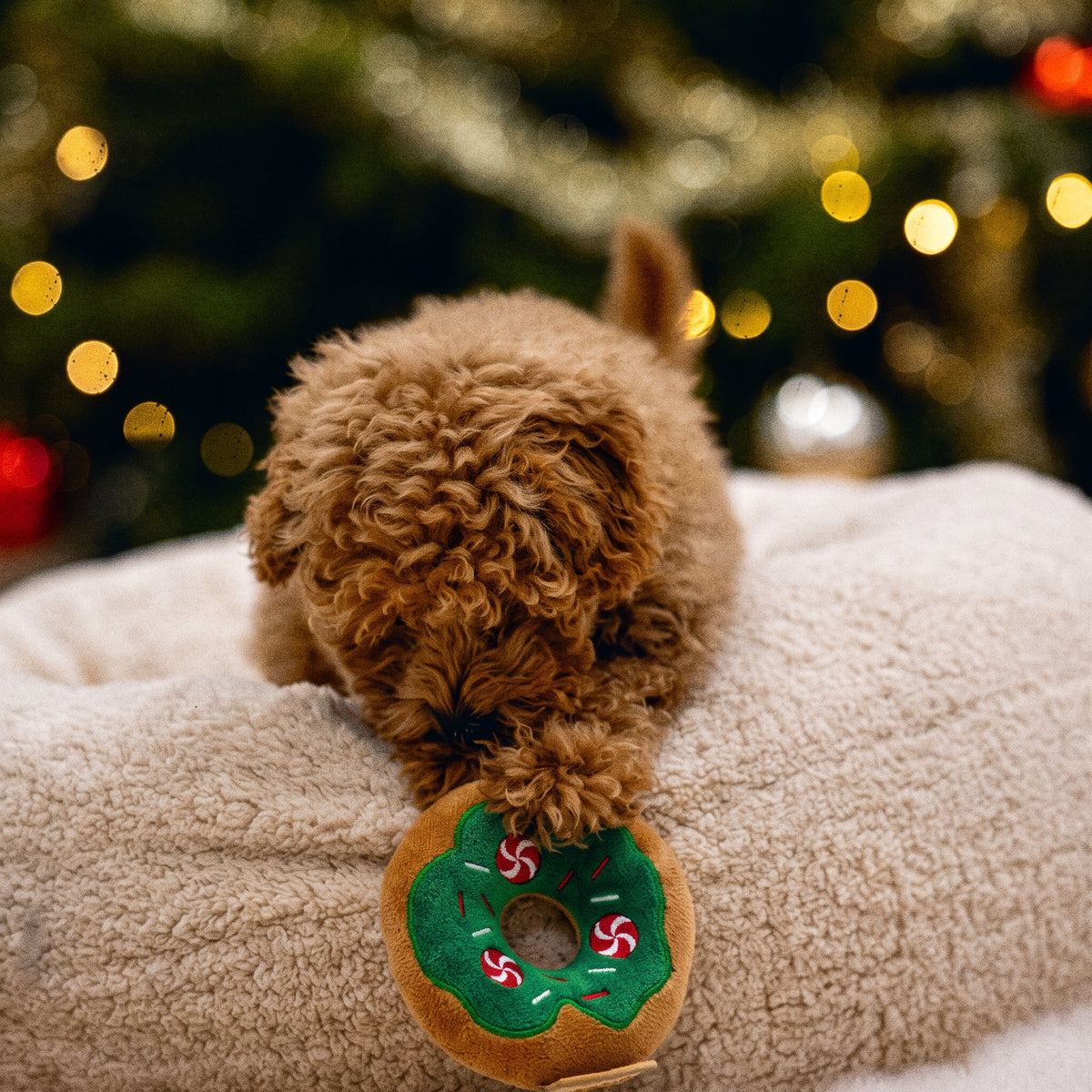 Beeztees Weihnachts-Donut für Hunde ohne Squeaker