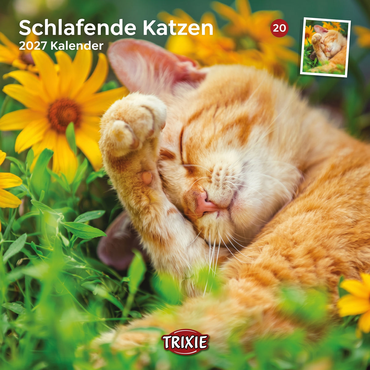TRIXIE 2027 Kalender schlafende Katzen