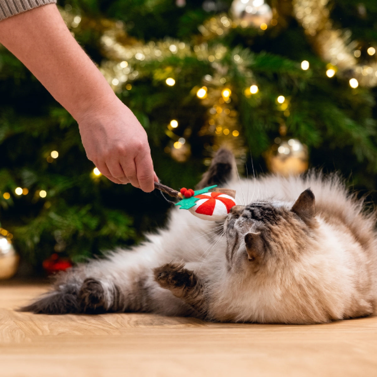 Beeztees Weihnachts-Lollipop – Katzenspielzeug mit Matatabi, 14 cm