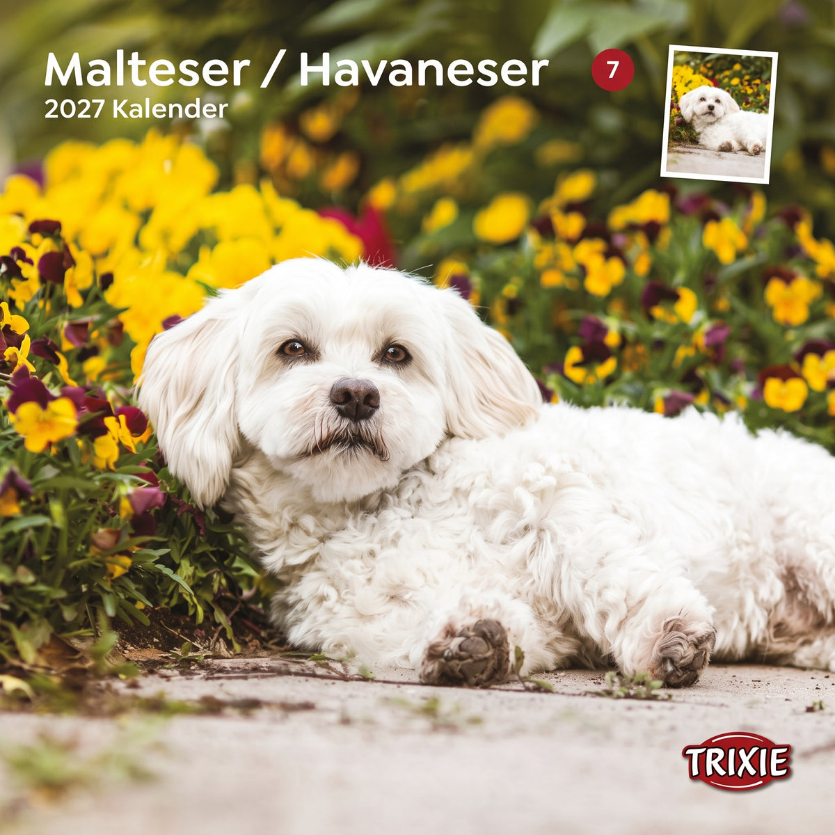 TRIXIE 2027 Kalender Malteser/Havaneser