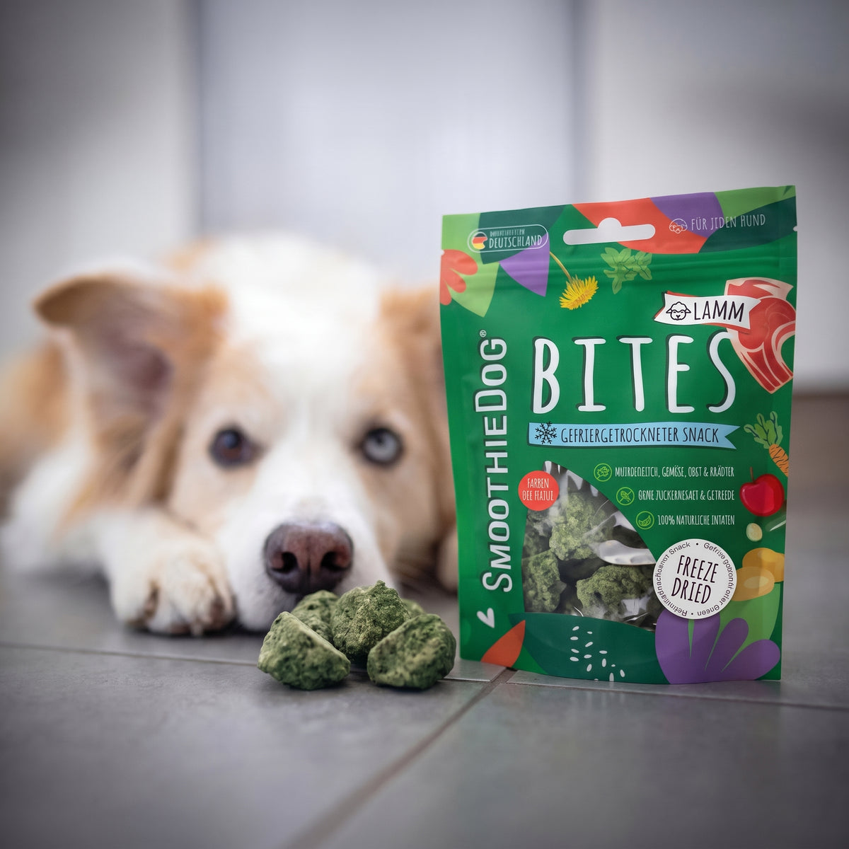 SmoothieDog Bites Lamm, gefriergetrocknete Hundesnacks 40 g