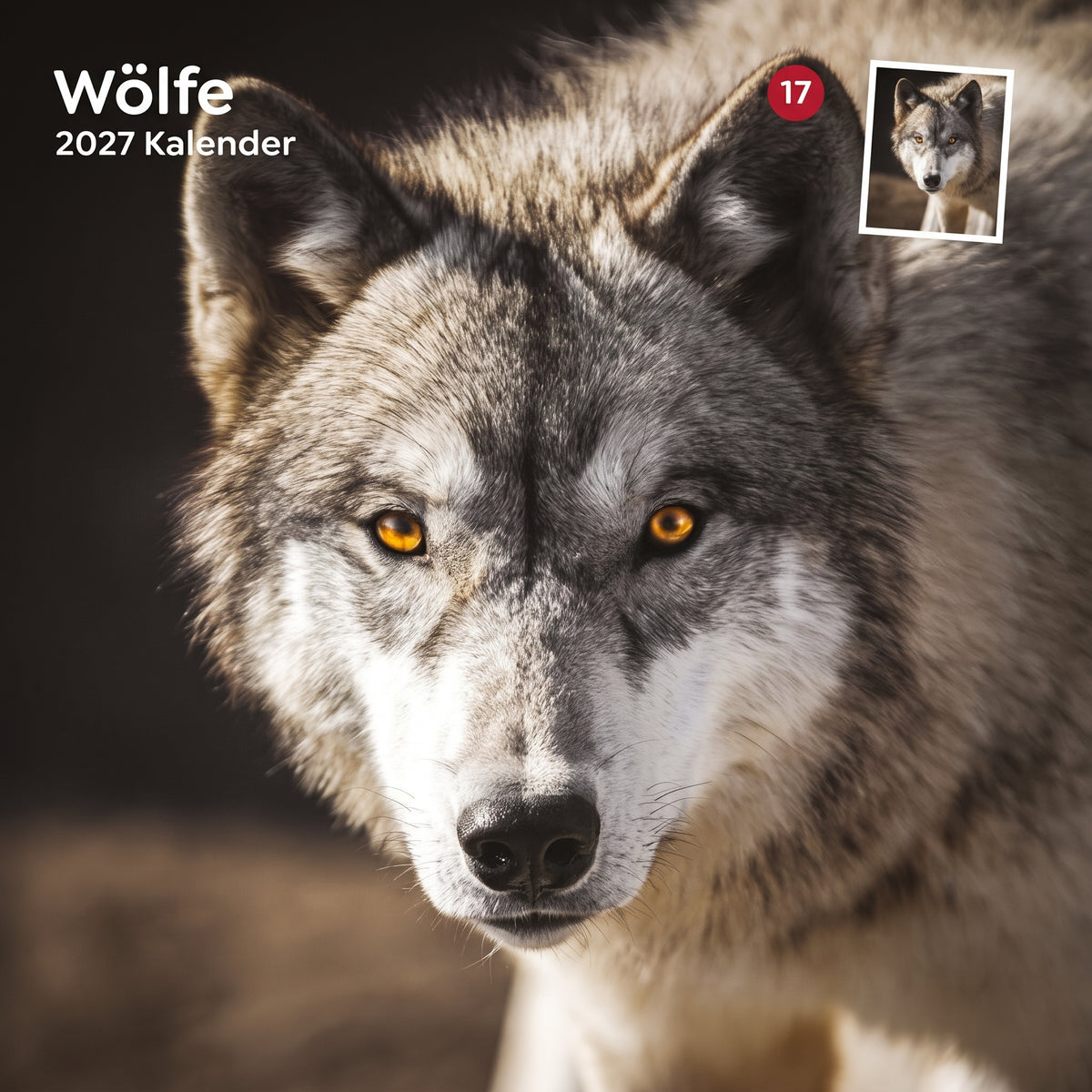 TRIXIE 2027 Kalender Wölfe