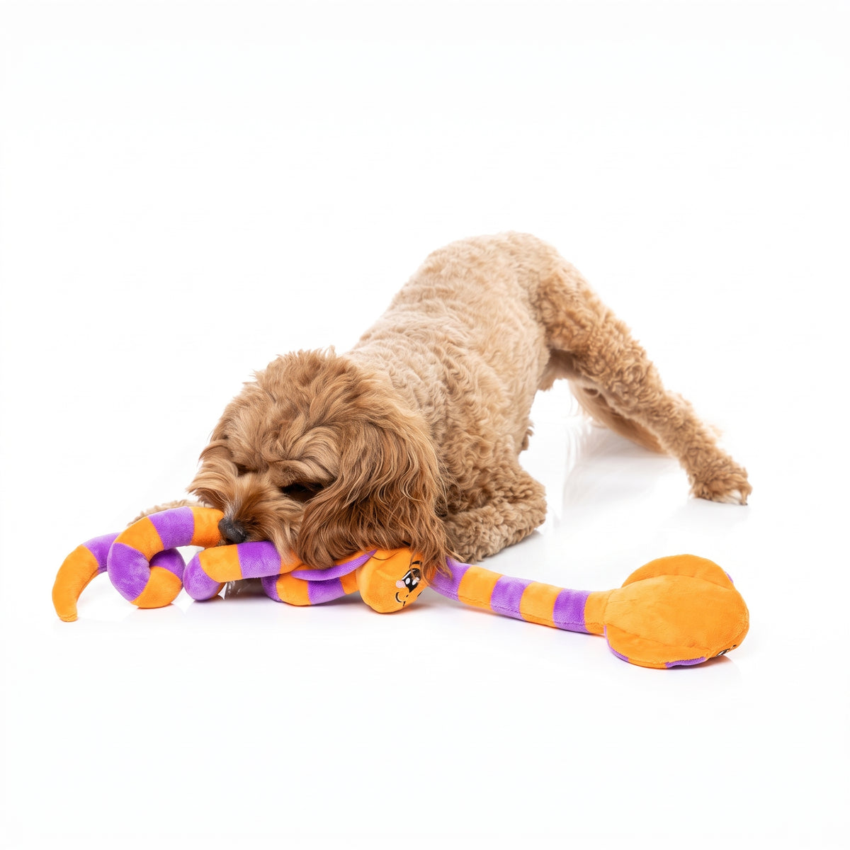 FuzzYard SSS-Teven the Snake – Halloween-Hundespielzeug mit Quietscher