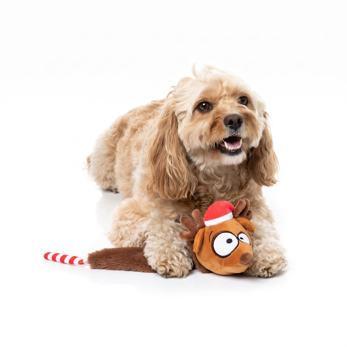 FuzzYard Run Away Reindeer – Rentier-Hundespielzeug mit Quietscher
