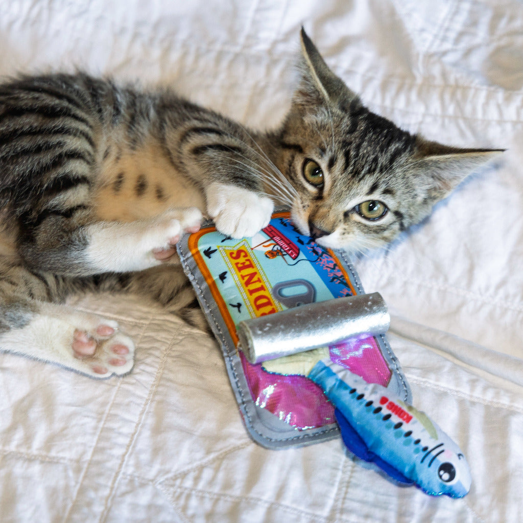 KONG Crackles Sardine Katzenspielzeug – mit Katzenminze, Glöckchen & Knistereffekt
