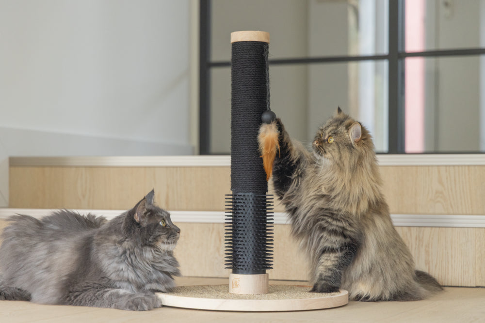 Designed by Lotte Fida – Kratzstamm aus Holz für Katzen
