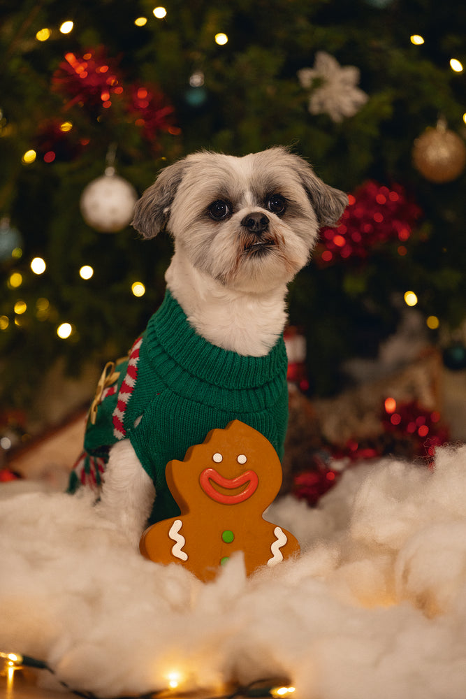 Beeztees Xmas Lebkuchenmann – Latex-Hundespielzeug mit Quietscher