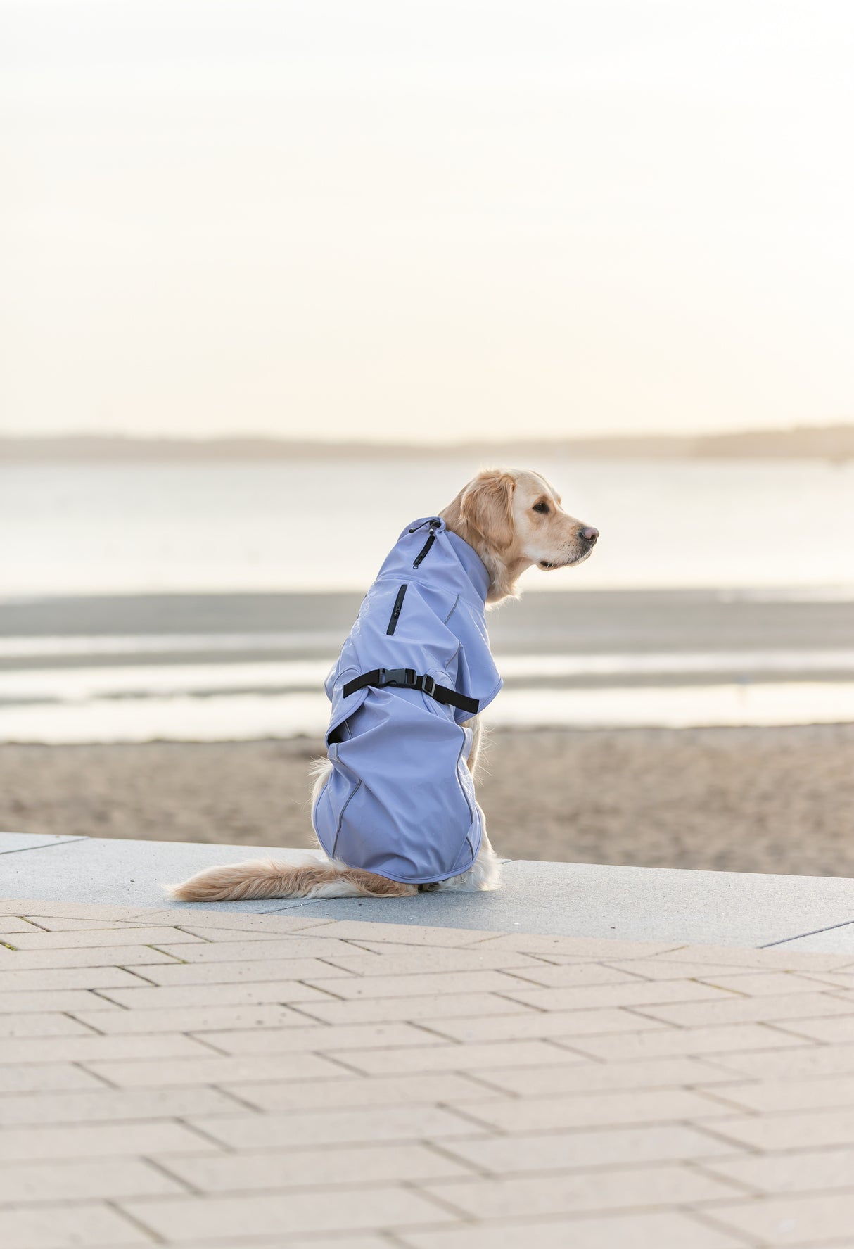 TRIXIE Hunde Regenmantel Vimy – wasserdicht, mit Bauchschutz & Reflektoren | Pink, Flieder & Orange