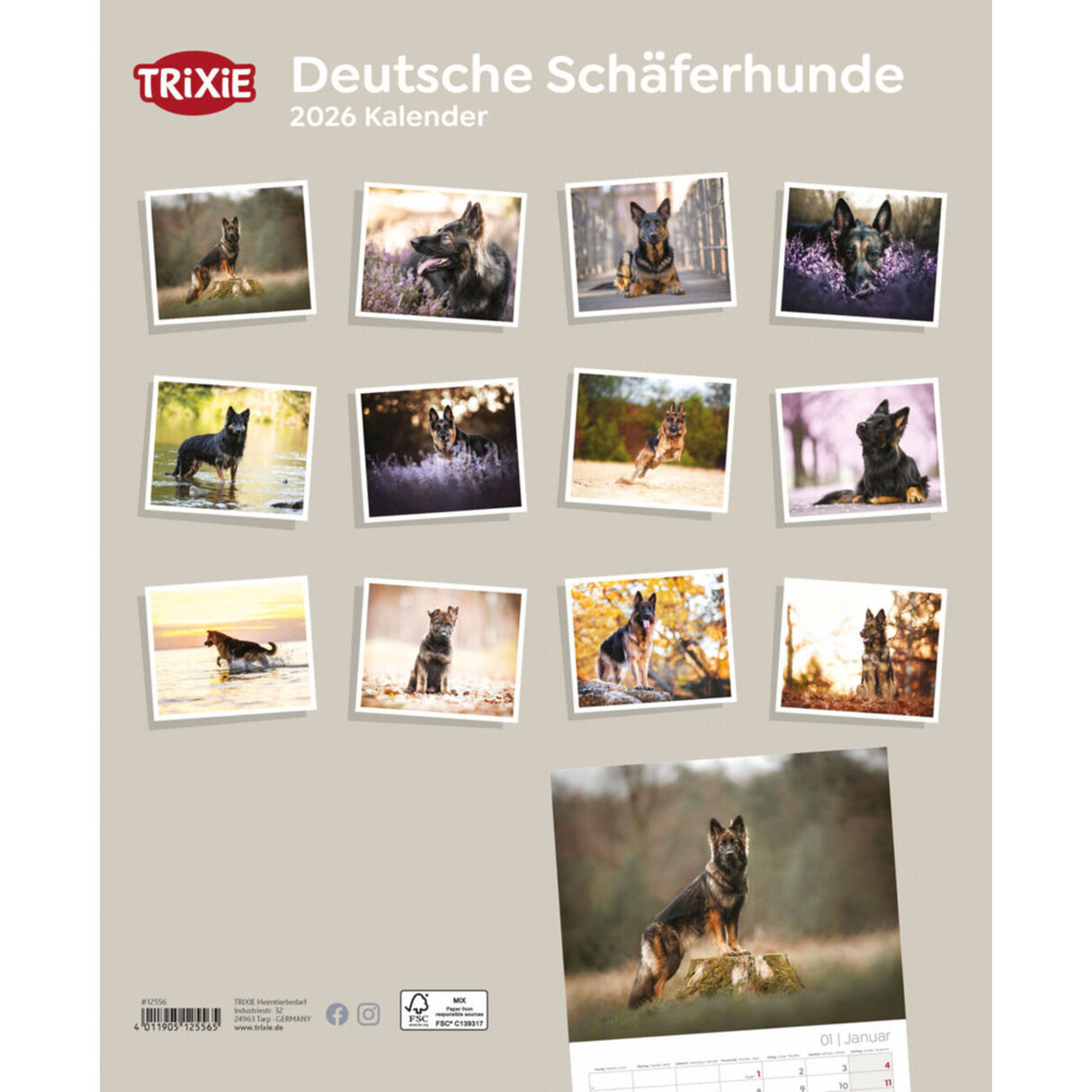 2026 Kalender Deutsche Schäferhunde – 12 Monate