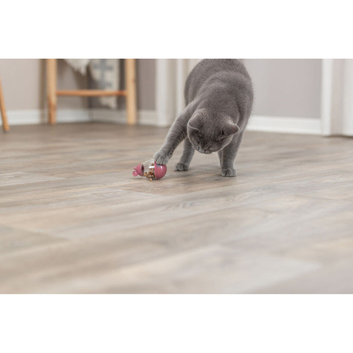 Snack Mäuse für Katzen – 9 cm, diverse Farben