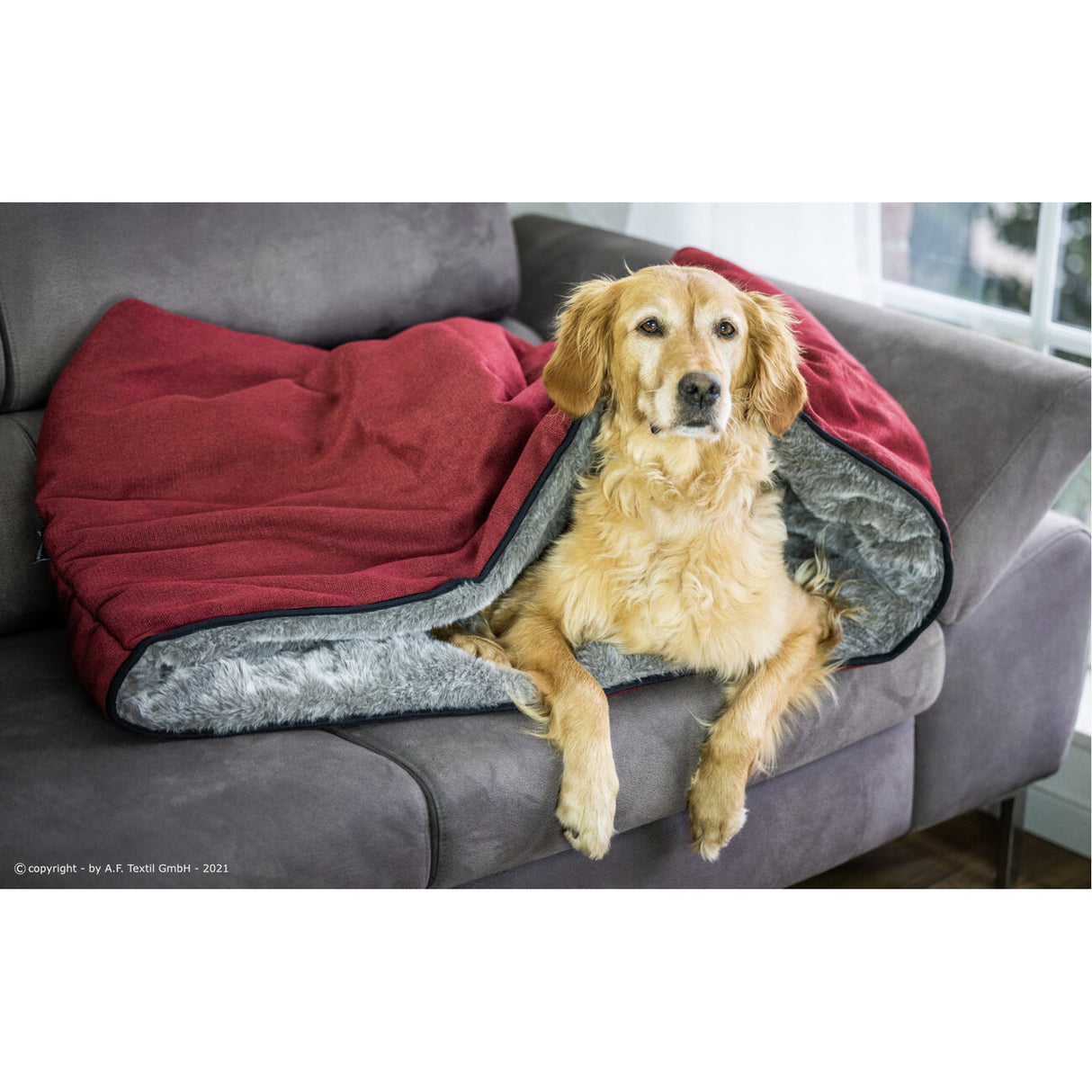 Cuddle Up Hunde Kuschelnest
