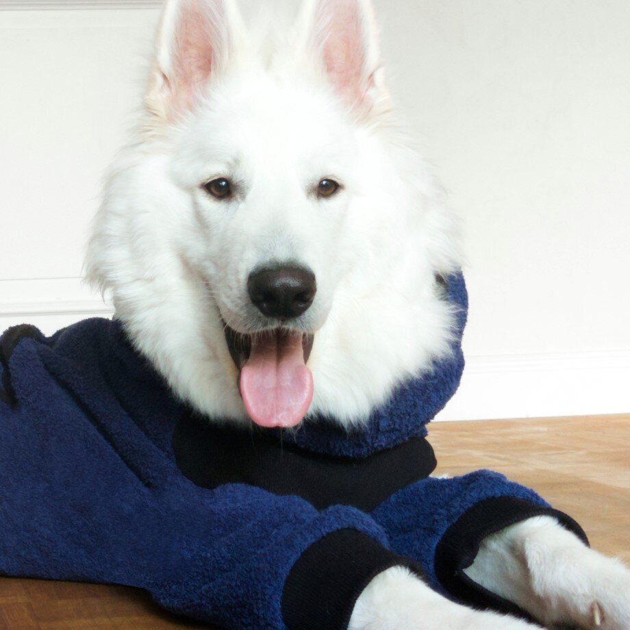 Dryup Body zip.fit Hundebademantel Big