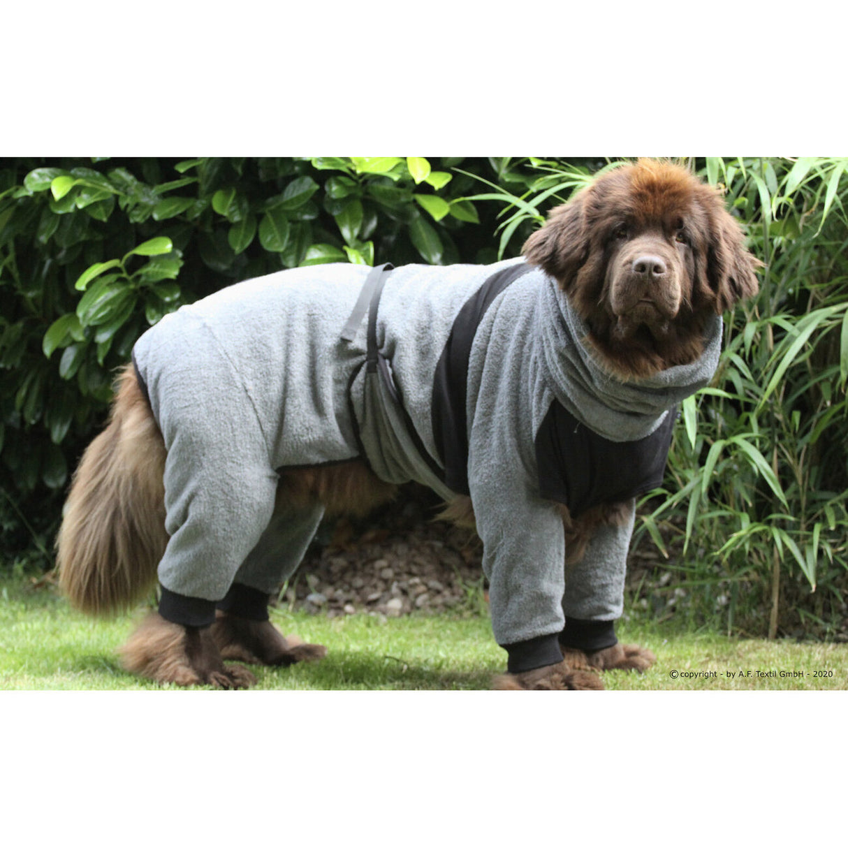 Dryup Body zip.fit Hundebademantel Big