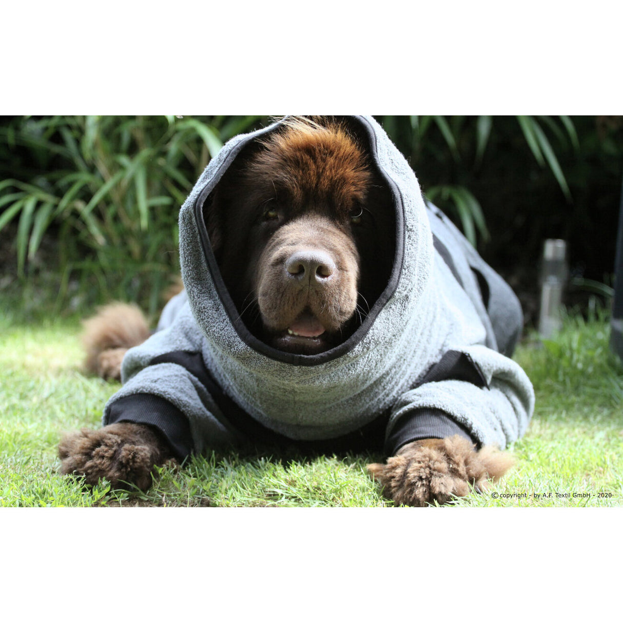 Dryup Body zip.fit Hundebademantel Big