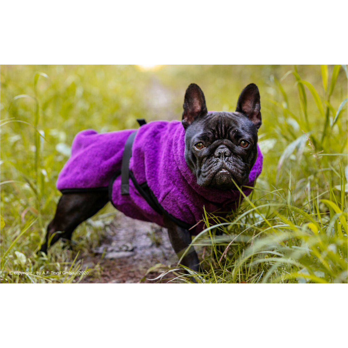 fit4dogs DryUp Cape Trockenmantel für Mops und Co