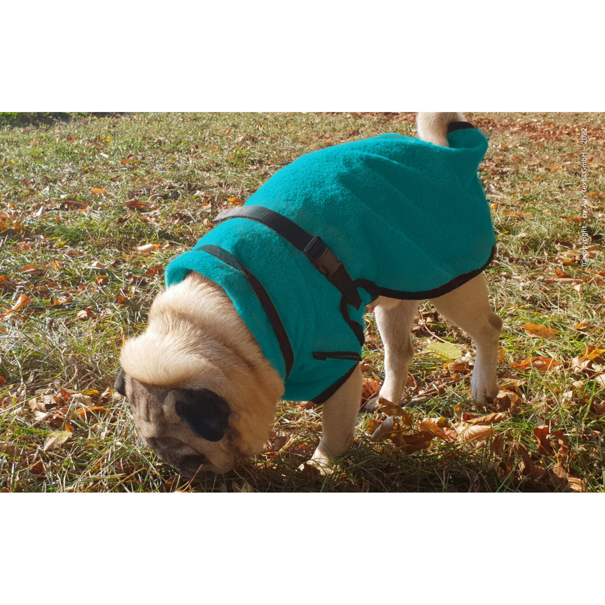 fit4dogs DryUp Cape Trockenmantel für Mops und Co
