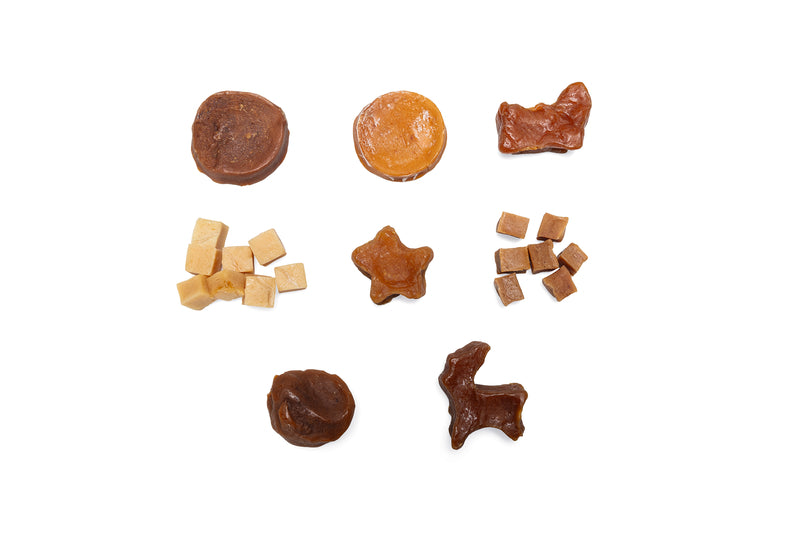 Beeztees Adventskalender Paw für Hunde – 24 Snack-Überraschungen