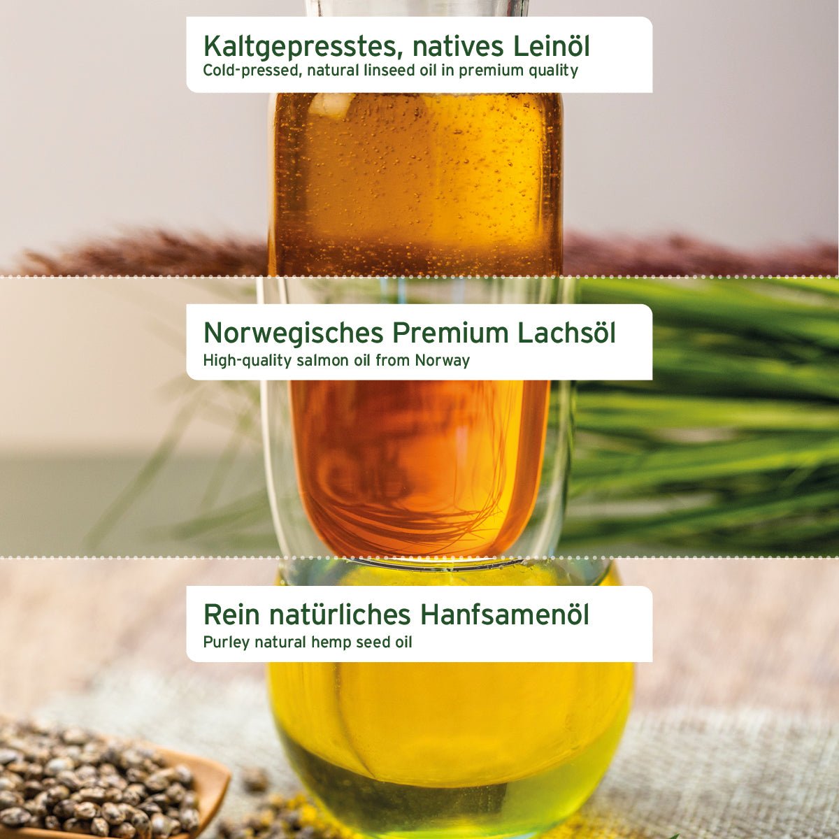 AniForte Barf-Öl Set mit je 500 ml Lachsöl, Leinöl und Hanföl