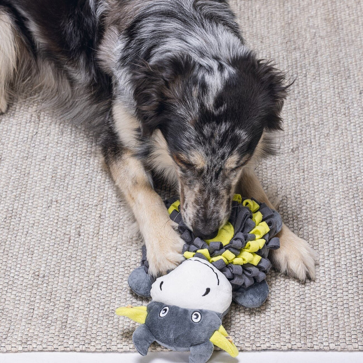 Hide and Seek Kuh Hundespielzeug