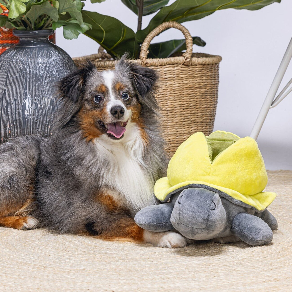 Hide and Seek Schildo Hundespielzeug