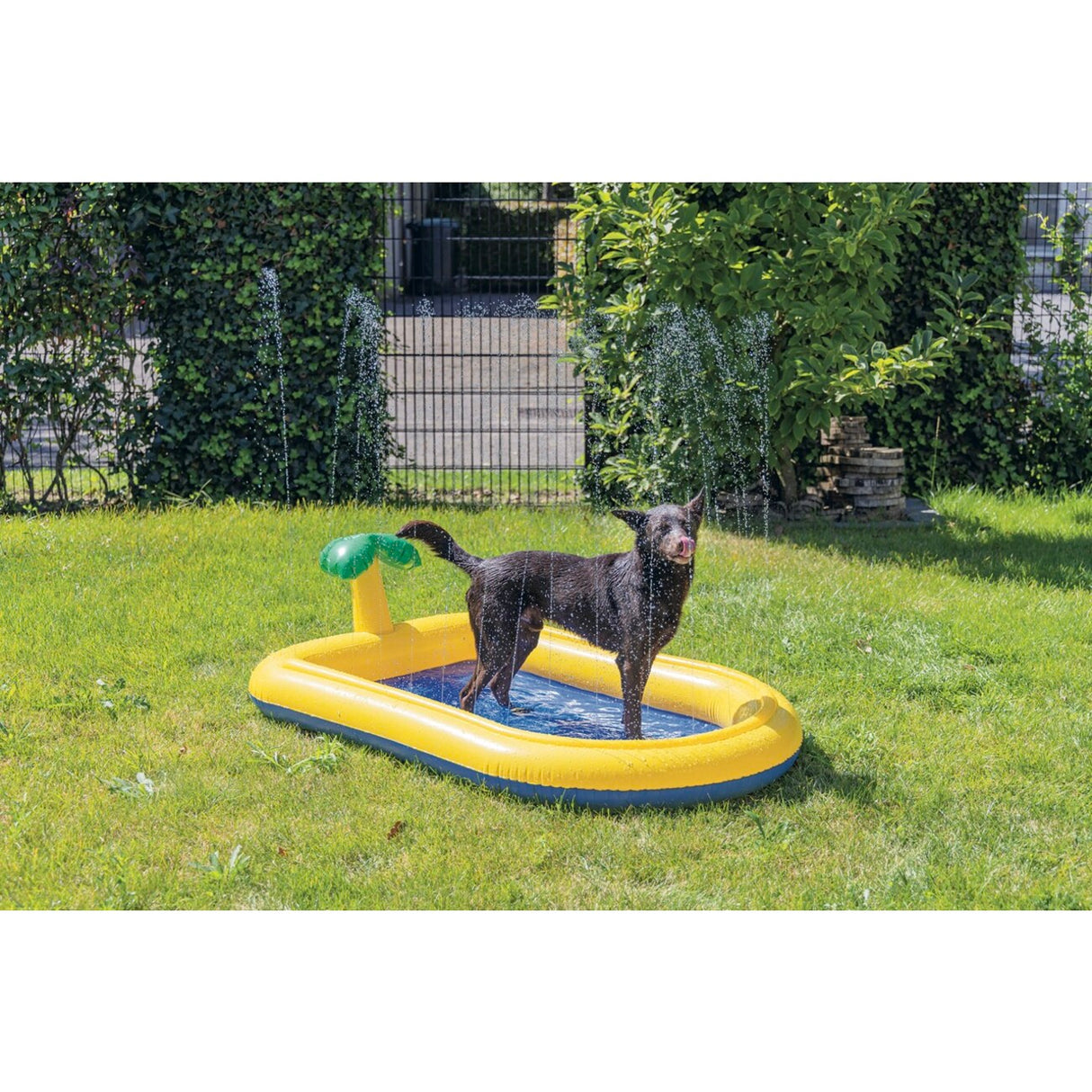 Hundepool Palmy Sprinkler