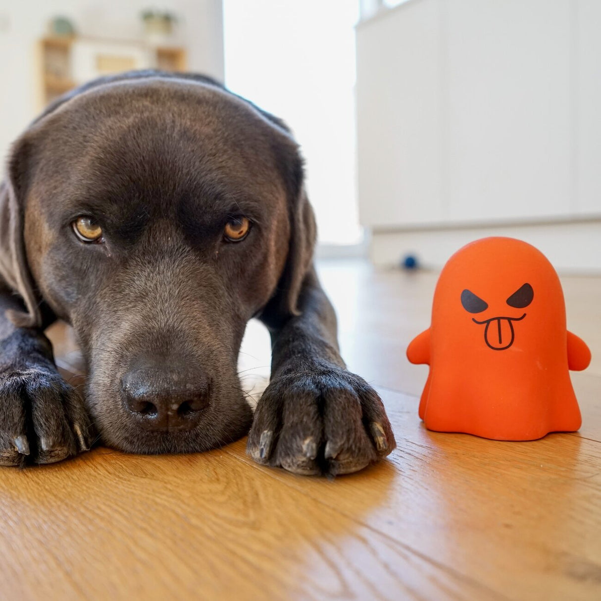 Hundespielzeug Geist Boe aus Latex