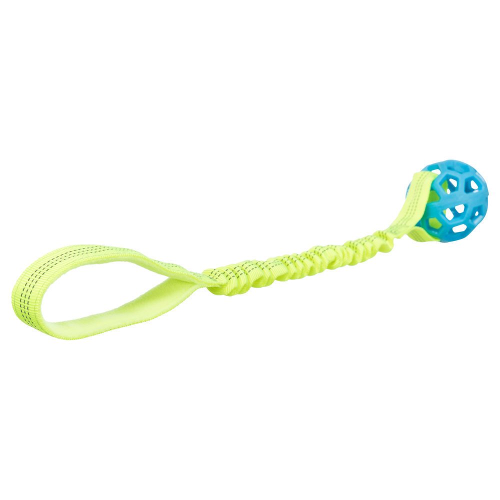 Bungee Tugger mit Ball