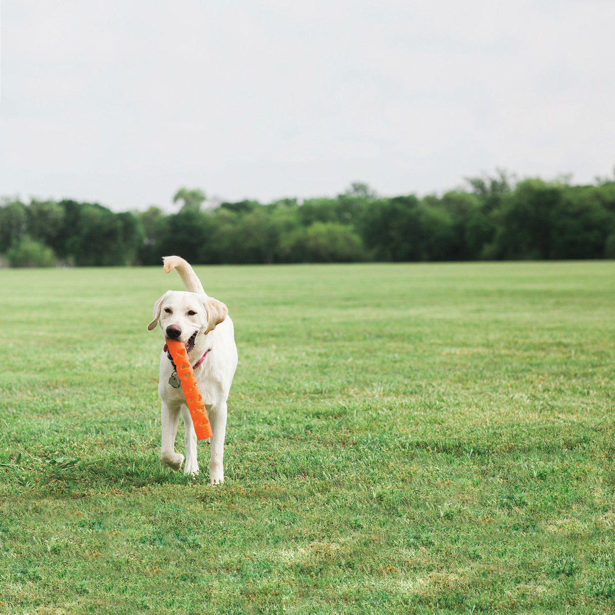 Chuckit! Breathe Right Air Fetch Stick Hundespielzeug