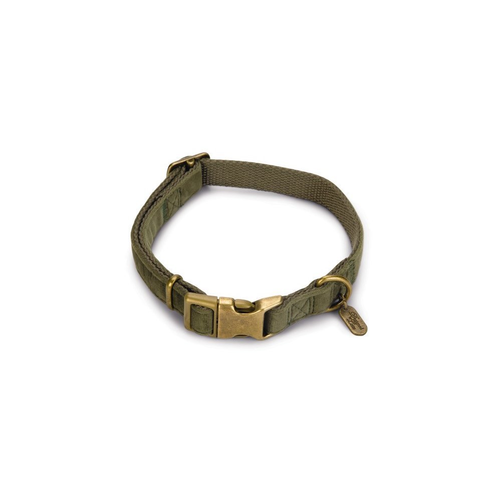 Designed by Lotte Hundehalsband Velura – grün - 20 mm, L: 35 - 50 cm