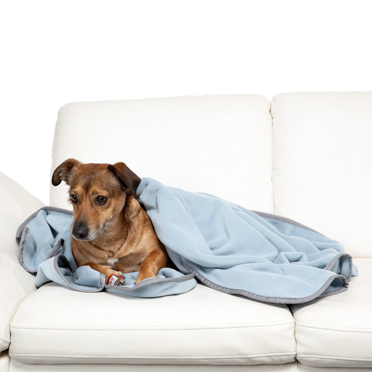 Doctor Bark Kuscheldecke Fleece für Hunde