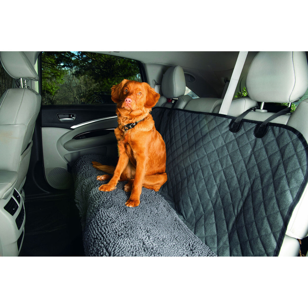 Dirty Dog Autodecke