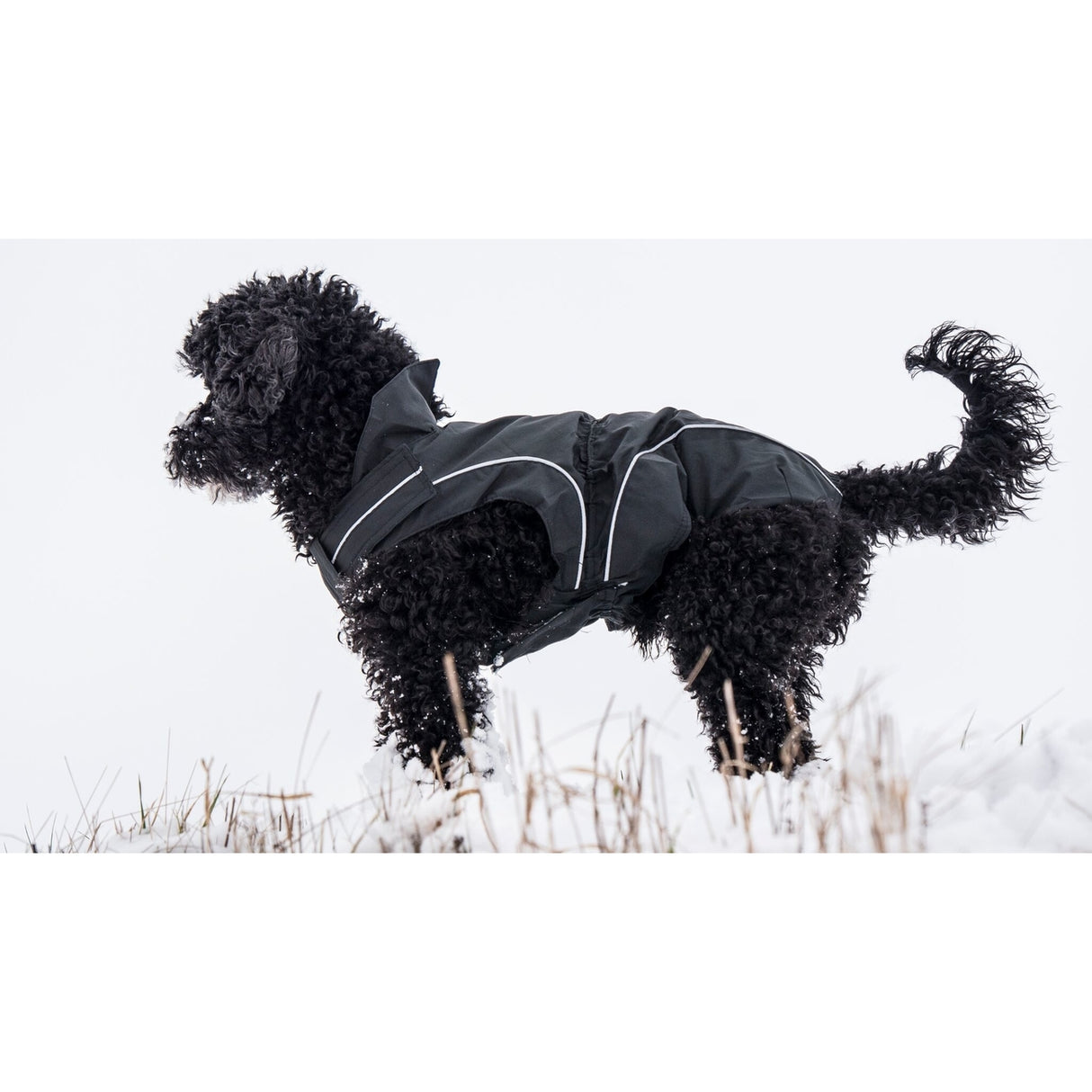 DogBite Hunde Ganzjahres Regenjacke Matt
