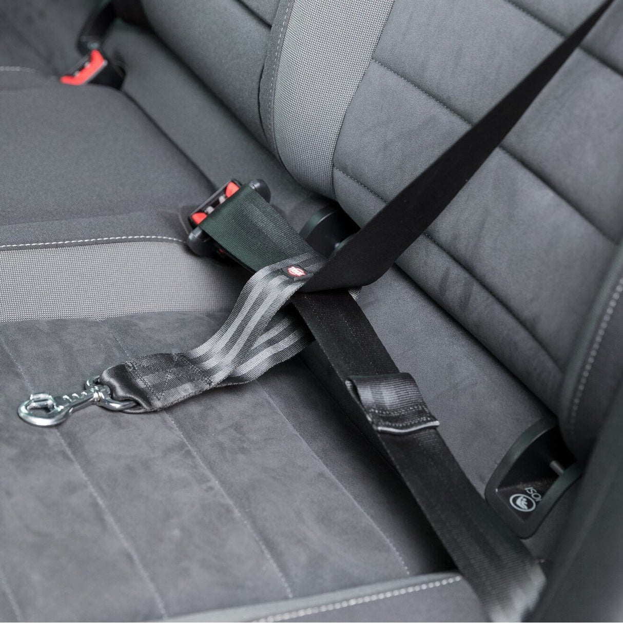Ersatz-Kurzführer für Auto Hundgeschirr – 30 cm/45 mm