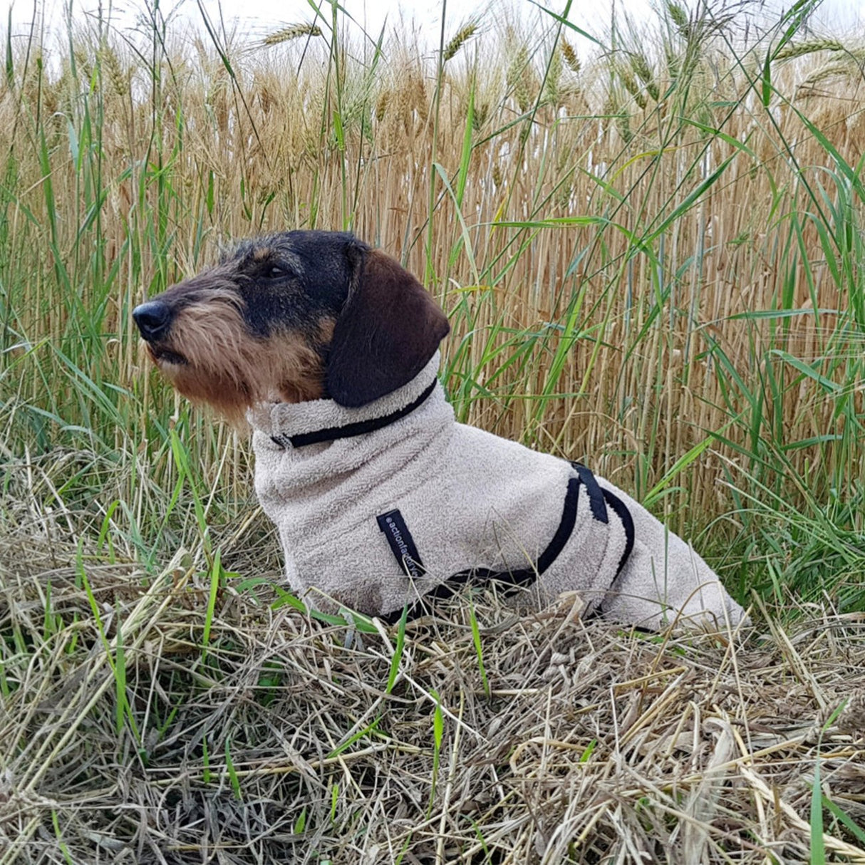 fit4dogs DryUp Cape Trockenmantel für Dackel