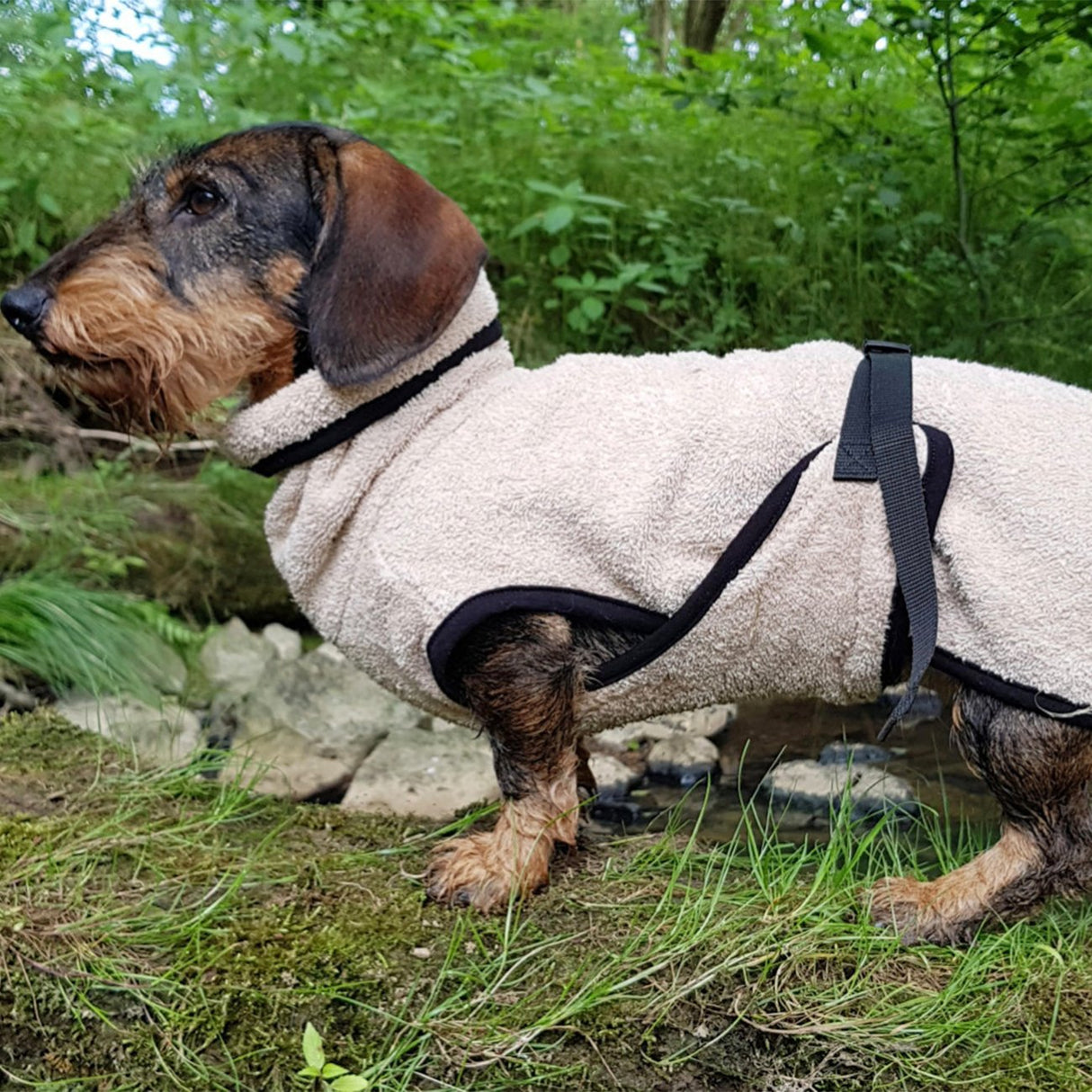 fit4dogs DryUp Cape Trockenmantel für Dackel