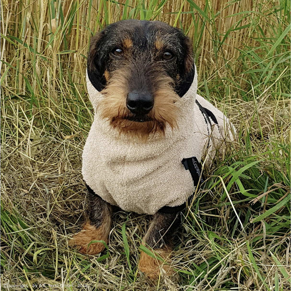 fit4dogs DryUp Cape Trockenmantel für Dackel