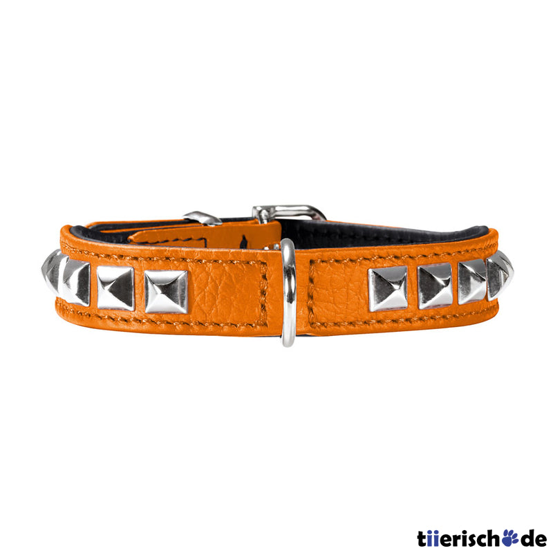 Halsband Rocky Petit für kleine Hunde
