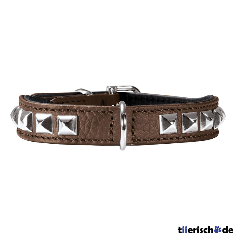 Halsband Rocky Petit für kleine Hunde