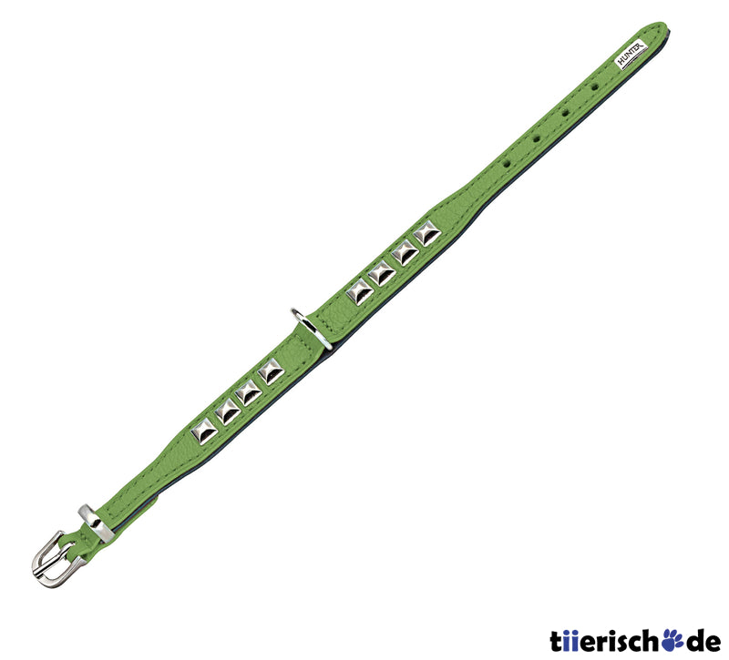 Halsband Rocky Petit für kleine Hunde