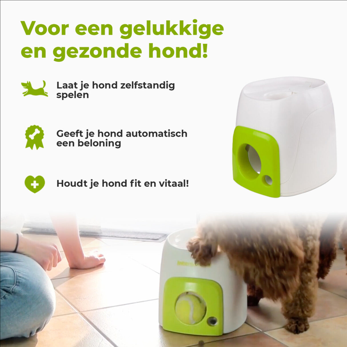 AFP Interactives Fetch'N'Treat Original Ballmaschine für Hunde