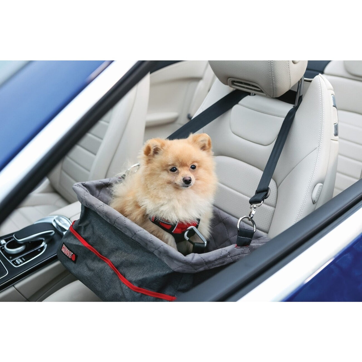 KONG Secure Booster Seat, Hunde Autositz