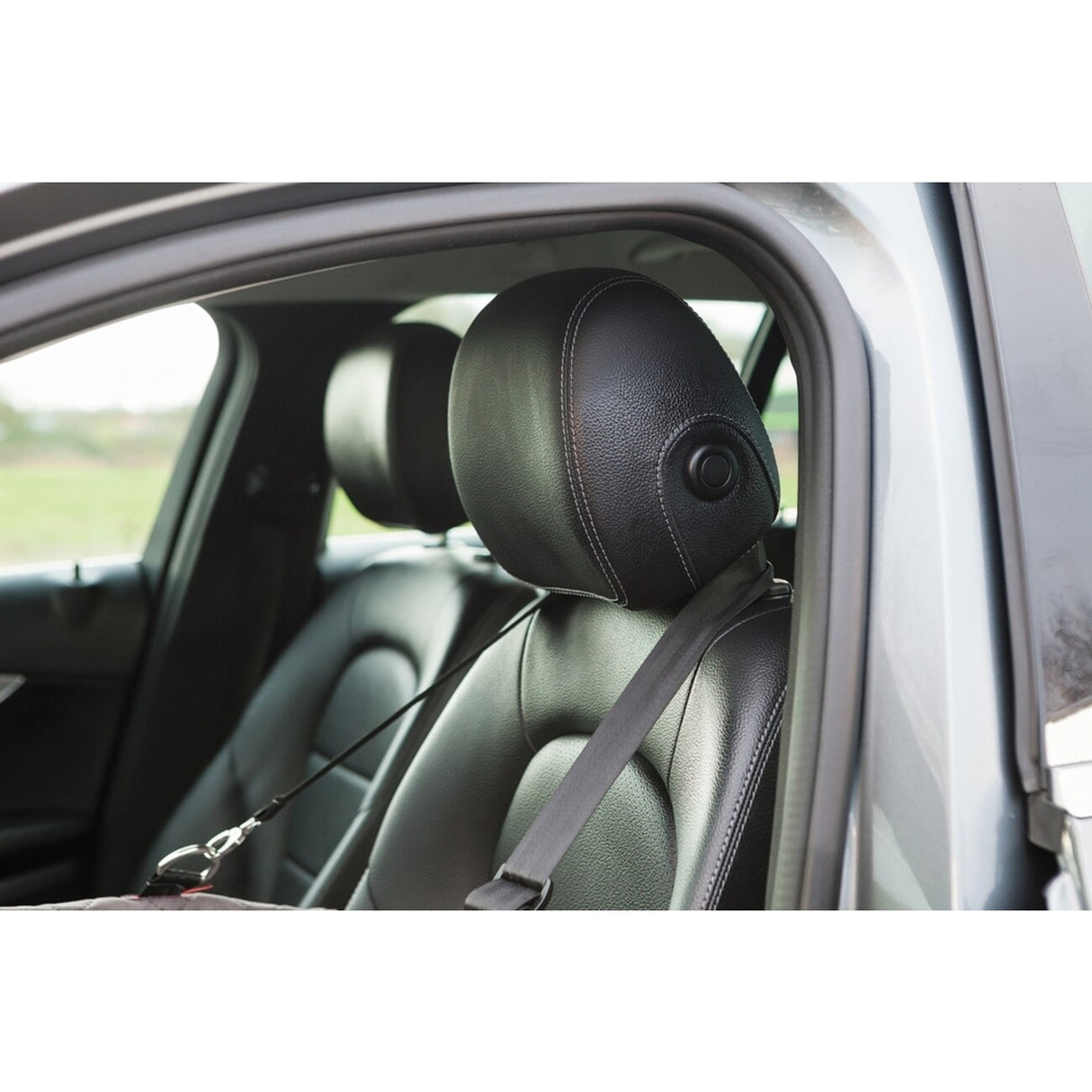 KONG Secure Booster Seat, Hunde Autositz