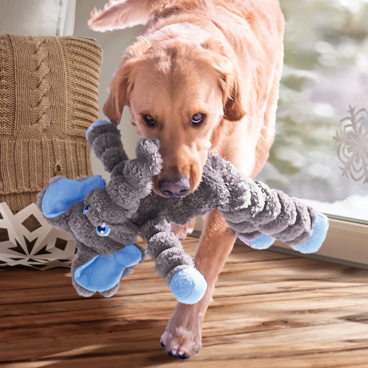 Shakers Crumples – Elephant