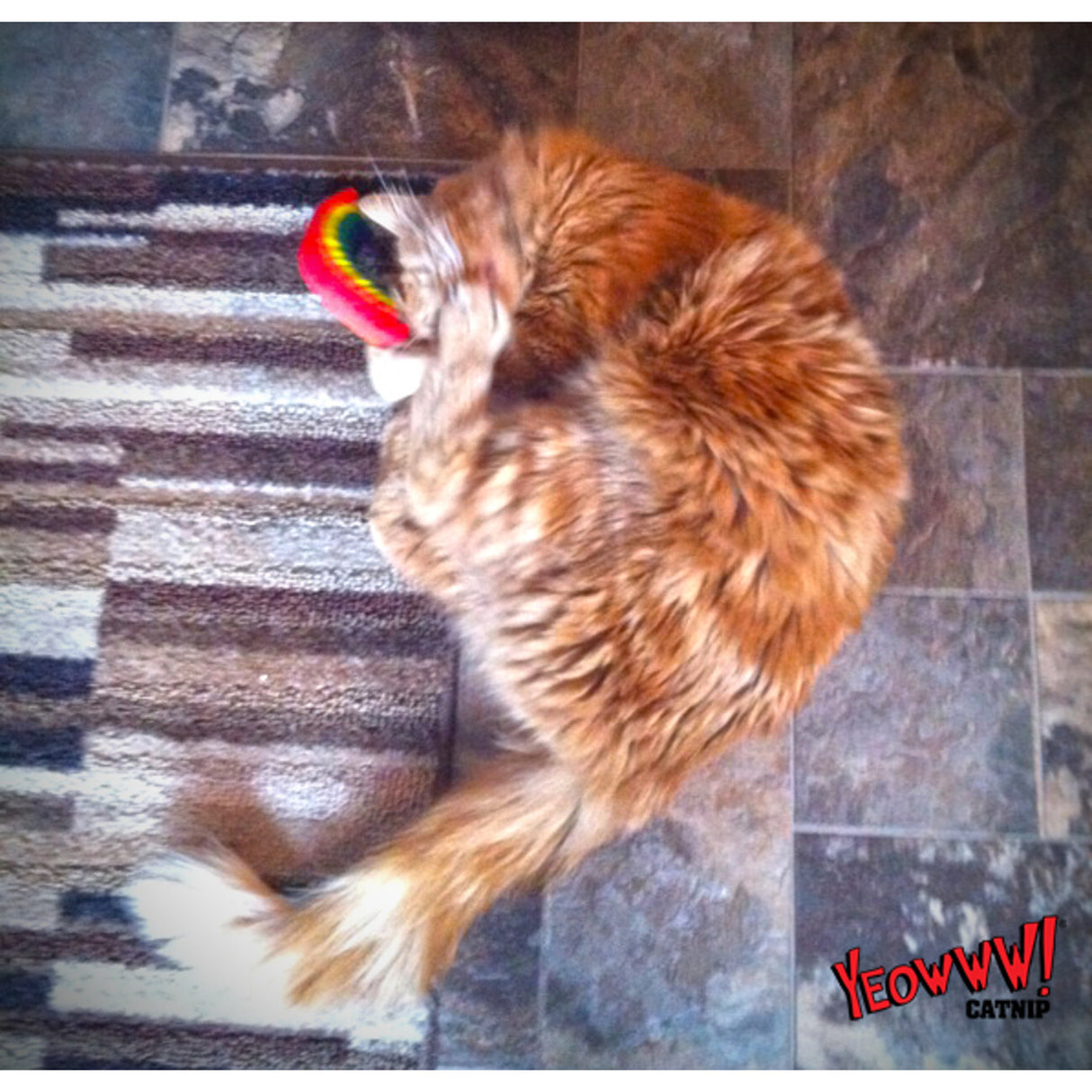 Yeowww! Rainbow Katzenspielzeug – 17,7 cm