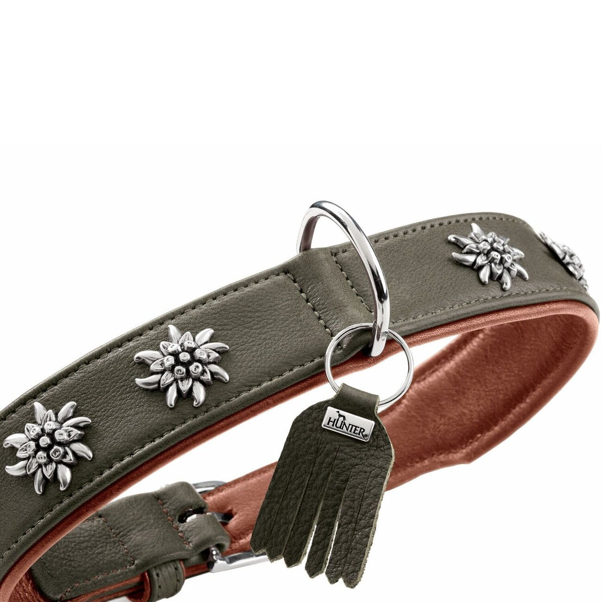 Halsband München für Hunde