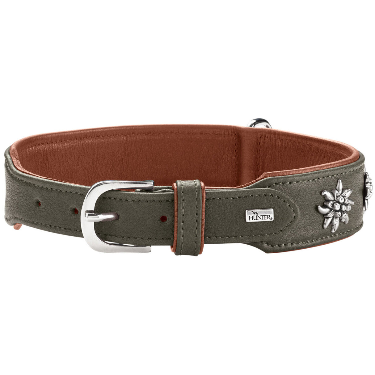 Halsband München für Hunde