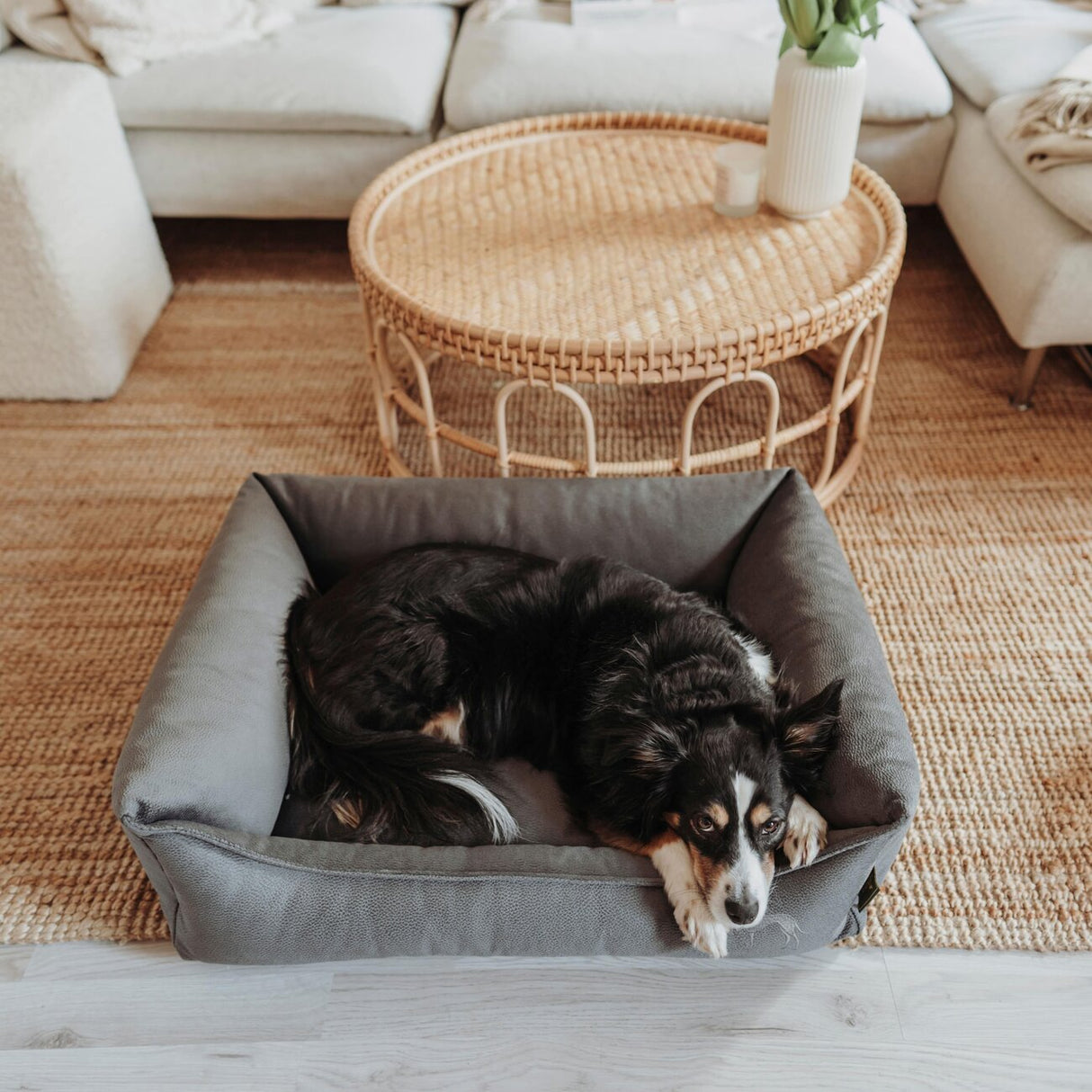 Orthopädisches Hundesofa Merida